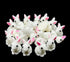Art&Beauty 24pcs Mini Resin Rabbits Easter Bunny Miniature Figurines Fairy Garden Miniature Moss Landscape DIY Ornaments Decorations Succulents Pl...