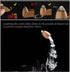80 Pcs Backflow Incense Cones 8 Mixed Natural Scents Sandalwood Rose Green Tea Lavender Osmanthus Jasmine Ocean Apple (Incense Cones)...