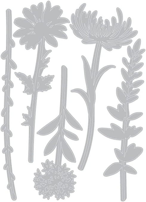Sizzix Thinlits Die Set , Wildflower Stems #1 by Tim Holtz, 5 Pack, One Size, Multicolor 5 Piece...