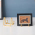 Plate Holder Easel Display Stand - 3 inch Metal Plate Stands for Display - Tabletop Picture Stand - Gold Iron Easels for Display Pictures | Photo ...