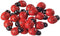 100 pcs Wooden Ladybug Garden Stones - Decorative Outdoor Ornaments - Garden Decoration for Vegatable and Flower Beds...