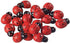 100 pcs Wooden Ladybug Garden Stones - Decorative Outdoor Ornaments - Garden Decoration for Vegatable and Flower Beds...