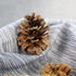 DKKRRNT PineCones Tall Bulk Package All Natural,Real Preserved Pine Cones Big Pinecones and Perfect Natural Pine Cones for Christmas Hanging Ornam...