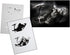 UMR-Design AS-109 reaper Airbrushstencil Step by Step Size M...