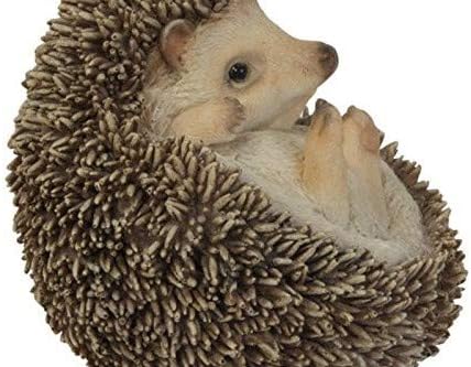 Hi-Line Gift Ltd Hedgehog on Back Statue...