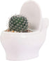 Ceramic White Toilet Plant Pot/Bonsai Pot/Flower Pot/Succulent Planter 4.6" Ideal Gifts for Women, Mom or Birthdays...
