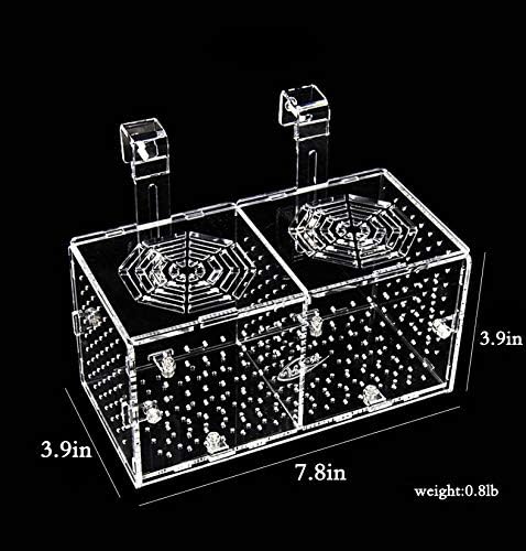 Hamiledyi Aquarium Breeding Isolation Box Acrylic Fish Tank Acclimation Hatchery Incubator Holder Divider for Guppy Shrimp Clownfish Fishes...