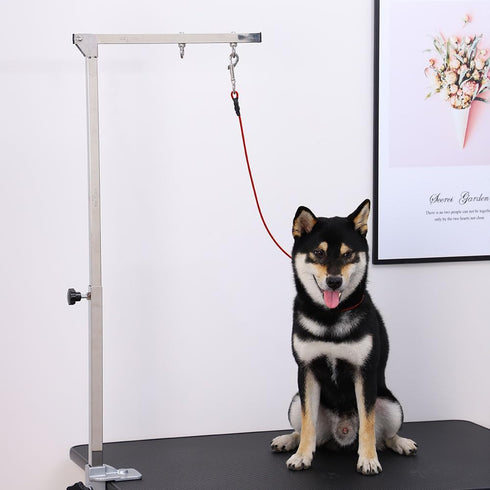 Pet Grooming Loop for Dogs - Fits Most No Sit Haunch Holder Pet Grooming Tubs and Tables Sturdy Steel Wire Rope(3 Packs) (Ring (Red)+No Sit Haunch...