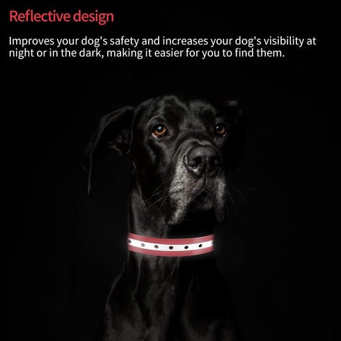 PetJoy Dog Collars Strap, Replacement Collar for Shock Reflective Collar, Adjustable Classic Dog Collar Strap for All Varieties Small Medium Large...