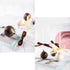 OCPO Kitchen Truffle Silicone Mold for Baking Mousse Cake French Dessert Pastry Chocolate Pudding Cupcake, Non-Stick & Easy Release, Truffle Ball ...