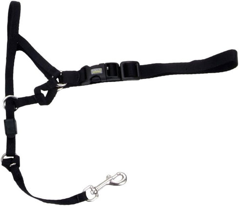 Holt Head Collar Black Size 2...