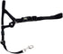 Holt Head Collar Black Size 2...