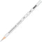 Sanford Ink Corporation Prisma Pencil, 12/Box, Metallic Silver...