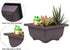 8PCS/Pack Retro Style Square Small Bonsai Training Pots with Tray, Mini Plastic Mocha Garden Flower Pot 4.7"...
