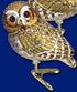 Old World Christmas Clip-on Pygmy Owl Bird Blown Glass Ornament 18067 Free Box...