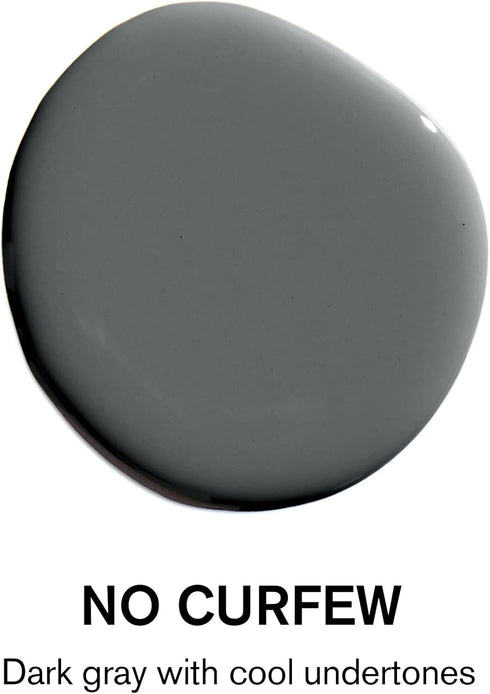BACKDROP Premium Interior Paint Large Adhesive Paint Swatch NO CURFEW - Dark Gray With Cool Undertones 12" x 12" Color Sample...