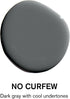 BACKDROP Premium Interior Paint Large Adhesive Paint Swatch NO CURFEW - Dark Gray With Cool Undertones 12" x 12" Color Sample...