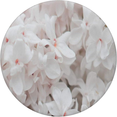 Pink Lilac White Floral Flower Petal Nature Plant Garden PopSockets Grip and Stand for Phones and Tablets...