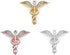3 PCS Medical Caduceus Doctor Nurse Brooch Pin Sets Jewelry for Graduation Medical Student Gifts (3 pics)...