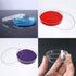 20 Pcs Plastic Petri Dishes with Lids, 60x15mm Sterile Culture Dishes...