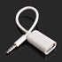 AUX to USB Adapter 3.5mm Male Audio Jack Plug to USB 2.0 Female Converter Cord Cable 2PACK Only Work (CAR Need MP3 Decode Function,Can't Fit All K...