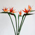 Artificial Flowers Bird of Paradise Greenery Plants Indoor Outside Garland Home Garden Office Verandah Wedding Decorations 6pcs (Yellow, 6 Pack)...