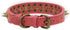 Spiked Studded Dog Collar-Bronze Pointed Stud Anti-Bite Collar (Red,M)...