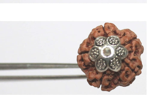 5 Face Rudraksha Pendant/ 5 Mukhi Rudraksha Pendant |Certified|...