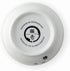 Necoichi Ceramic Cat Bowls for Indoor Cats - Cat Food Bowl, Cat Water Bowl, Cute Cat Dishes for Food, Whisker Friendly, Anti-Spill Feeding for Sma...