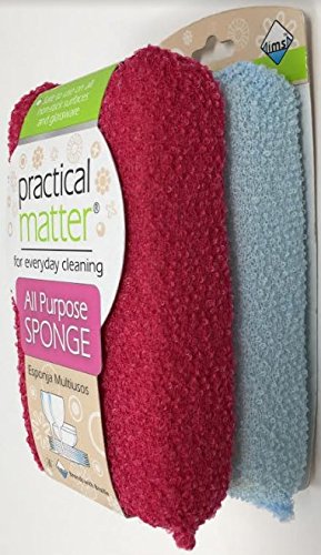 Cleanlogic Practical Matter Fiber Sponge, 2 Count...