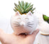 GeLive Cute Cat Succulent Planter Pot with Drainage Tray, White Ceramic Plant Container, Window Box, Unique Animal for Indoor Home Decor (White)...