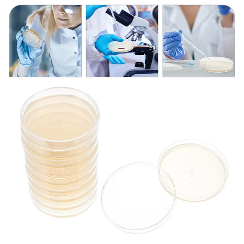 10Pcs Nutrient Agar Petri Dishes Science Project Kit, Pre-Poured Agar Plates, Agar Plates Prepoured Supplies for Students...