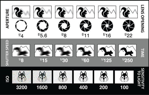 DSLR/mirrorless Photography Cheat Sheets Credit Card Size Reference Card Fits in Pocket/Wallet/Camera Bag. Aperture, Shutter Speed, Exposure Trian...