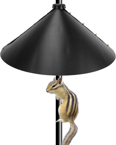 Professional Feeder for Squirrels, Powder Coated...