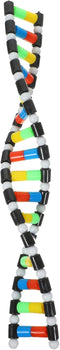 Generic Molecular Model Kit:Double Helix Structure Model Molecular Model Kit for Kids Students Instructional...