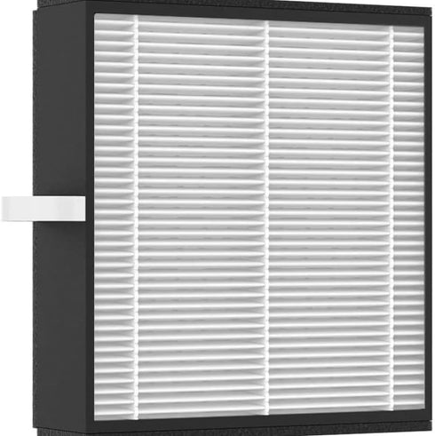 Afloia Efficient Filter for Q10 Air Purifier and Dehumidifier 2-in-1 (Air Purifier Q10 Filter Replacement)...