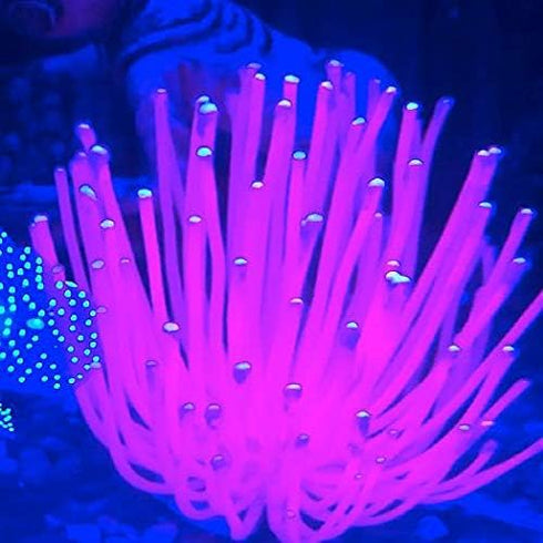 Sporn Aquarium Decoration, Anemone Pink...