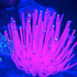 Sporn Aquarium Decoration, Anemone Pink...