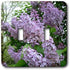 3dRose lsp_3139_2 " Lilac Double Toggle Switch...