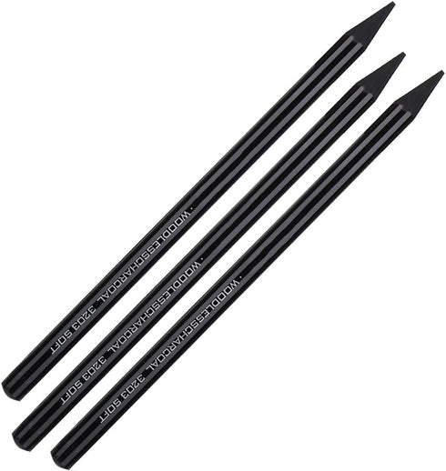 Pssopp Charcoals,25pcs Woodless Charcoal Pencils, Charcoal Drawing Bar Sticks Sketch Pencils Artist Art Drawing Sketching Painting Tools Stationer...