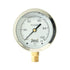 Winters 2-1/2" Dial Size, Liquid Filled Industrial Pressure Gauge, Brass Internals, 304 Stainless Steel Case, Single Scale 0-1,000 psi, 1.5% Acc, ...