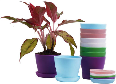 TDHDIKE 10 Pcs Plastic Planters Indoor Pots, Mini Flower Seedlings Nursery Flower Pot with Pallet, Modern Decorative Gardening Containers...