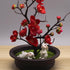 4Pcs Cute Rabbit Miniature Figurines and Cute Squirrel Decorative Fairy Garden Accessories Hand Drawn DIY Miniature Garden Decoration for Rooftop ...