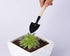 Set of 3pcs Gardening Tools for Small Plants Succulents Pots Flower Cactus - Bonsai Tool Kit Gift for Kids and Adults...