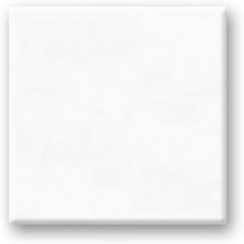 Color Factory 12inx12in Primed Stretch Artist Canvas...