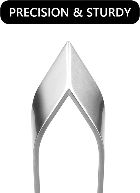 2 Pieces Fish Bone Tweezers, Stainless Steel Flat and Slant Tweezers Pliers Remover Tool (4.6")...