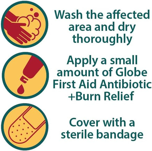 Globe {2 Oz) Dual Action Burn Relief & First-Aid Antibiotic Ointment for 24-Hour Infection Protection & Maximum Strength Burn Pain Relief, with Ba...