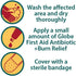 Globe {2 Oz) Dual Action Burn Relief & First-Aid Antibiotic Ointment for 24-Hour Infection Protection & Maximum Strength Burn Pain Relief, with Ba...