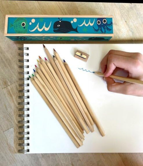 Pencil Box Oceanic Friends, Organizer, ocean friends pencil box + colored pencils...