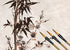 Chinese Calligraphy Brush, Writing Drawing Watercolor Ink Brushes Hubi Painting?Kanji Sumi?Wolf Bamboo Brushes Set for Professional Beginner (Gree...